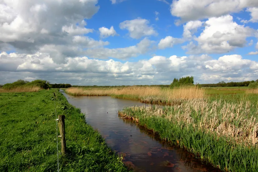 vledders en leijerhooilanden