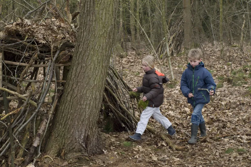 voorjaarsvakantie dwingelderveld