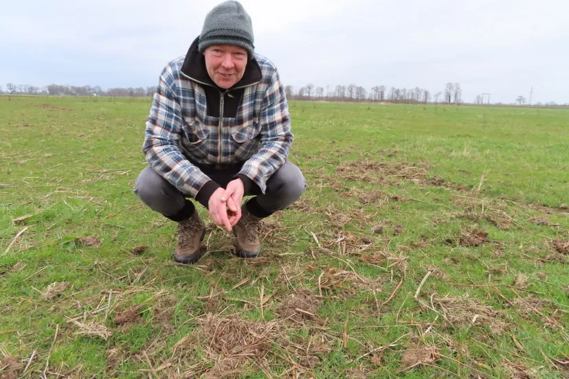 vrijwillig weidevogelberschermer jelmer bakker bij het nest met het eerste drentse kievitsei 2020
