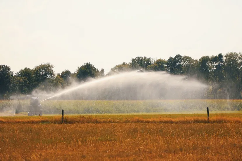 wdod beregening gewas