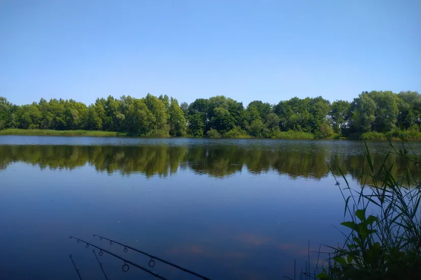 wdod loodvrij vissen