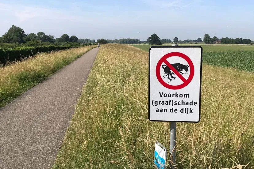 wdod schade dijken honden2