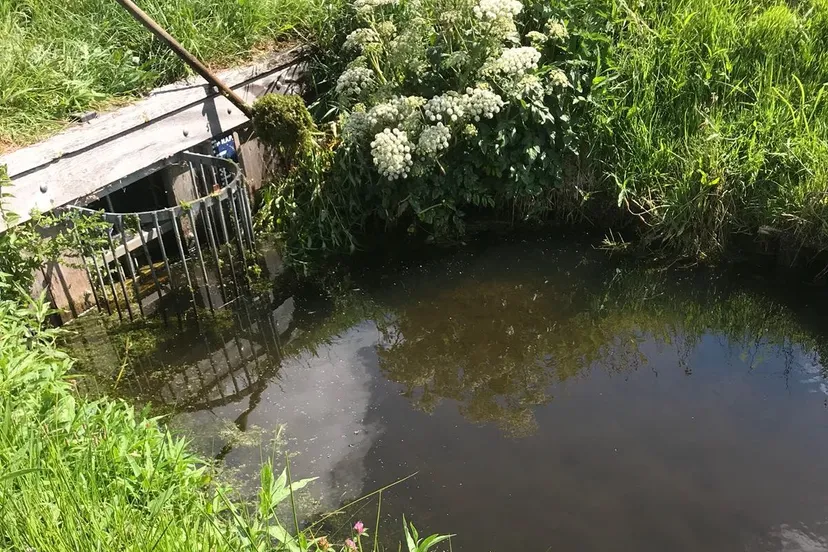 wdod schoon houden inlaat voor water doorvoer 2