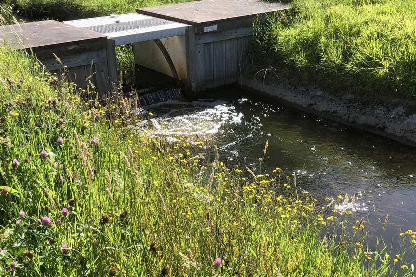 wdod water vasthouden