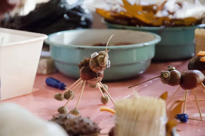 wheem knutselen loeke koetsier