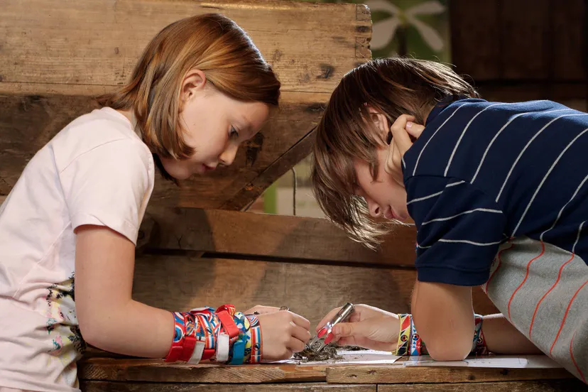 wheem uilenballen tamara raijer