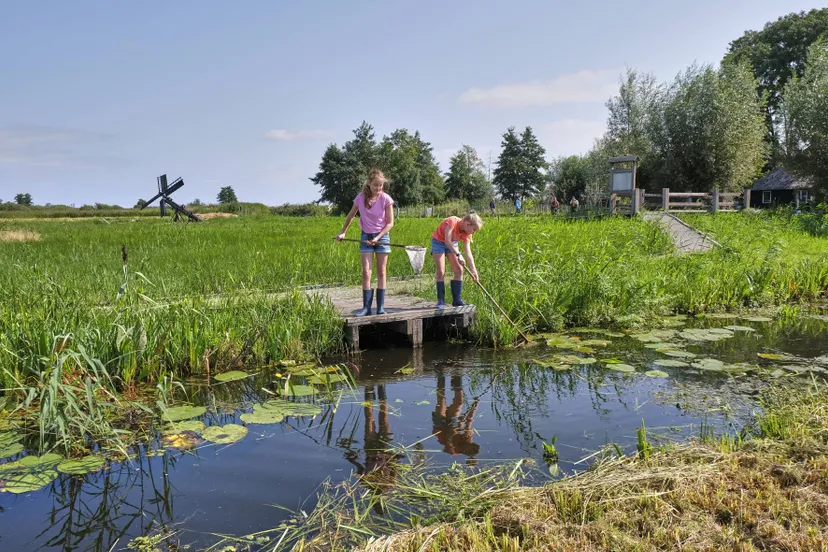 wieden namo110838 laurence delderfield zomermeisjes waterbeestjes vangen liggend veraf