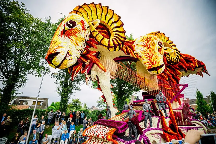 winnaar fun fun 2017