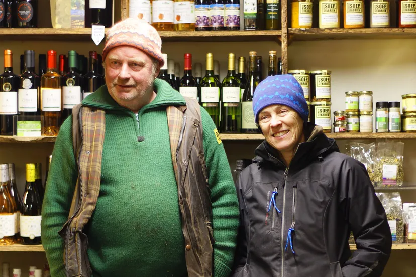 wolden groenlinks lintje