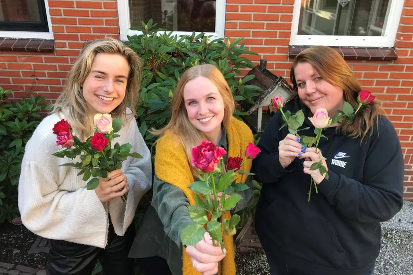 wolden rozenactie young de wolden