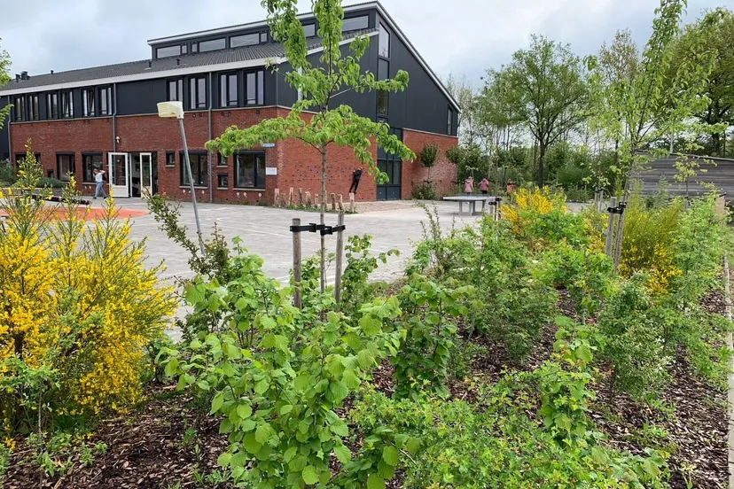 wolderwijs duurzaam5