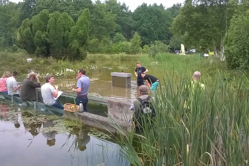 wp 20160601 12 59 57 pro 1