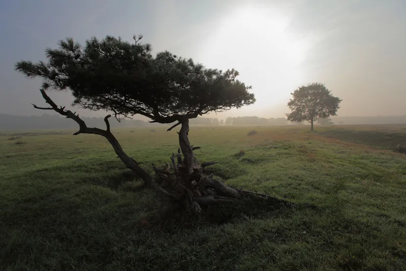 yoga ruinen foto andreas koidl2