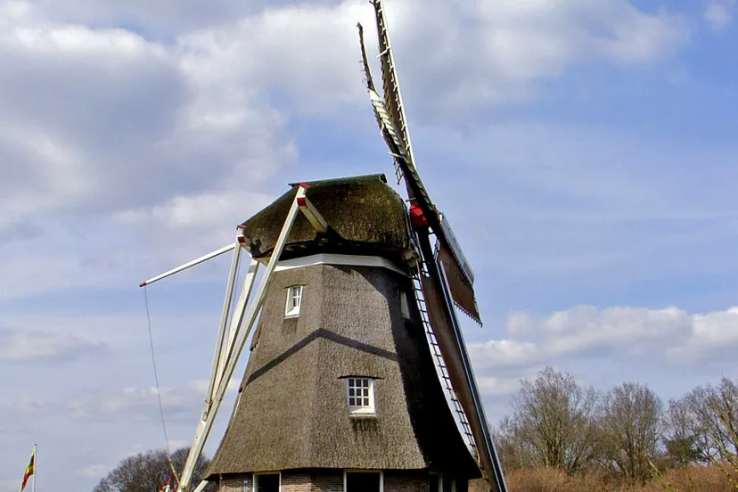 zaandplatte ruinen1 1