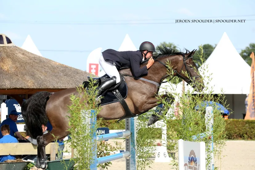 zat01 04 pandrik championat of veeningen raymakers medium