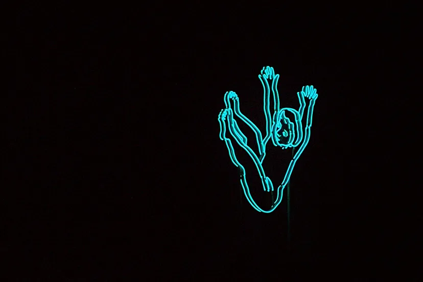 zoetnet fotercom cc by