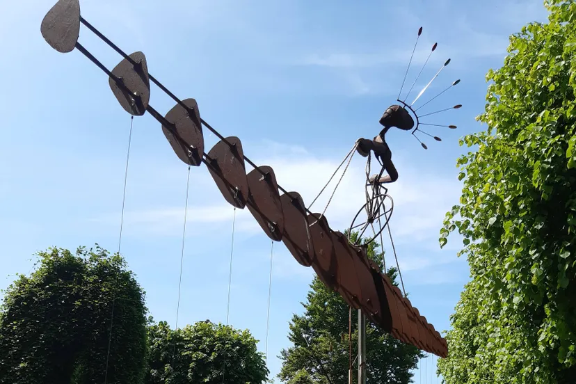 zuidwolde adje martens voor het persbericht lein