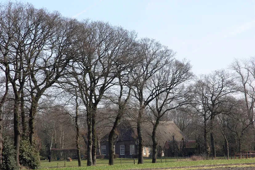 zuidwolde cursus boerenerven