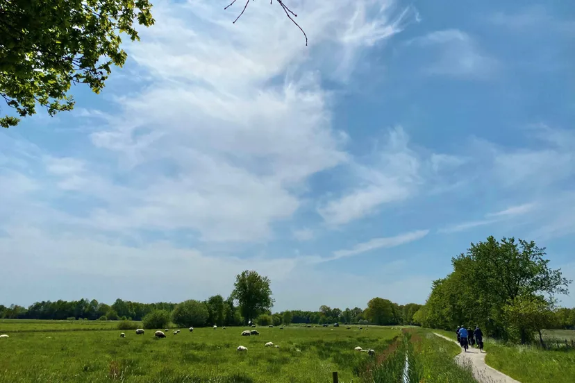 zuidwolde fotowedstrijd lammie van elp wint2