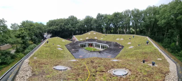 zuidwolde huisartsen