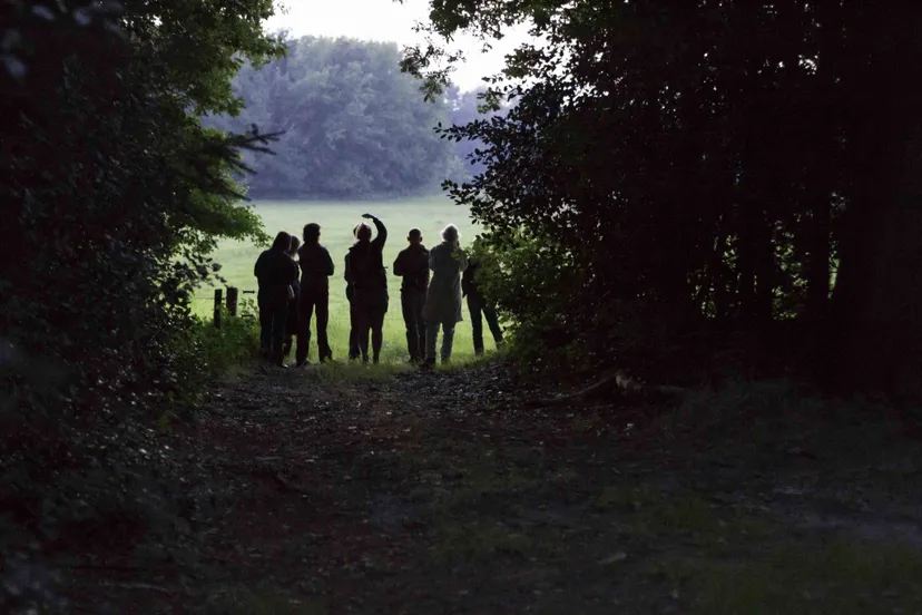 dwingeloo ivn vleermuis excursie