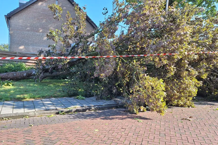 fac5a788 d8c6 4e7e be2e 524e7ba69b83