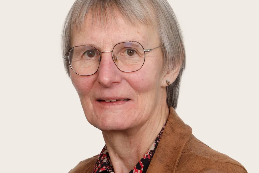 dwc dewolden cda karin brouwer