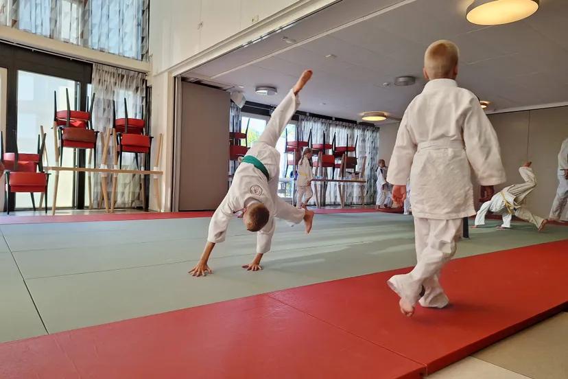 ruinen nieuwejudomatten