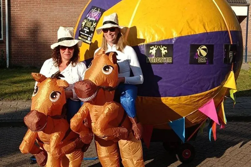 ruinerwold hengsten bal2