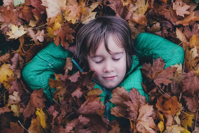 reestdal herfstblad ivn overijssel