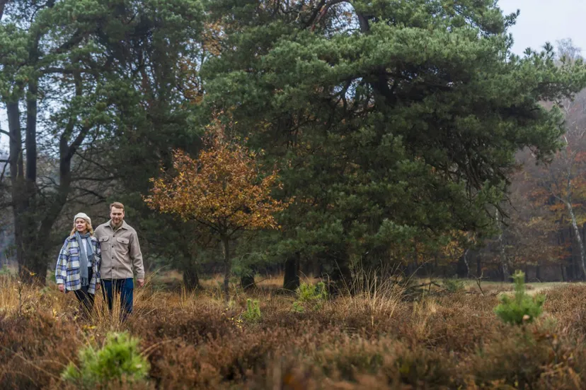 ruinen dwi herfstwandeling dwingelderveld rene koster