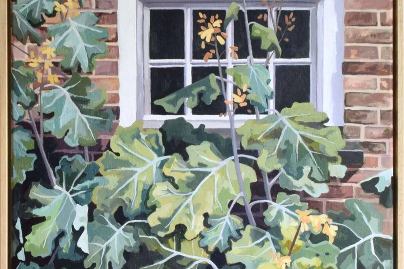 ruinen dwingeloo ruysend raam maartje i jansen