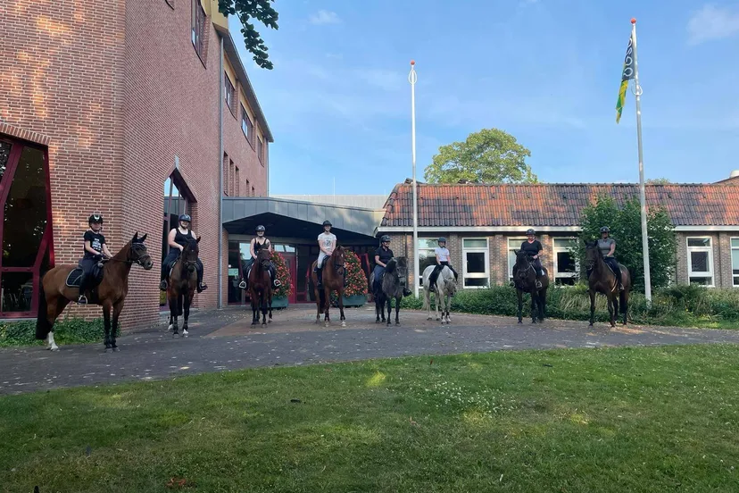 zuidwolde paardenprotest