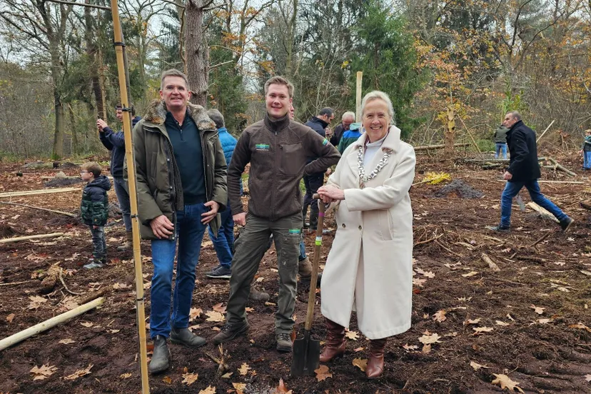 echten boomplanten westerbergen6