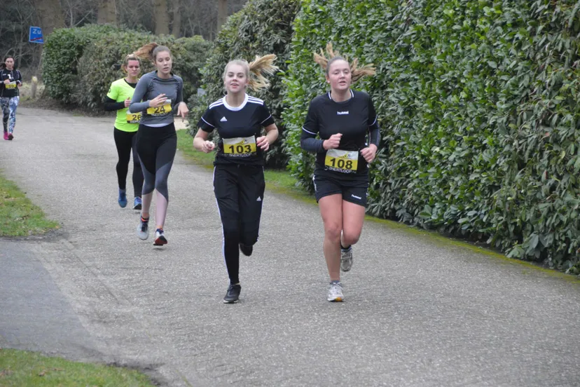 pn04012019 snertloop zzvv35