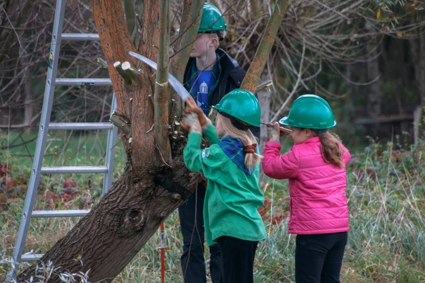 reestdal kinderen snoeien henny de joode