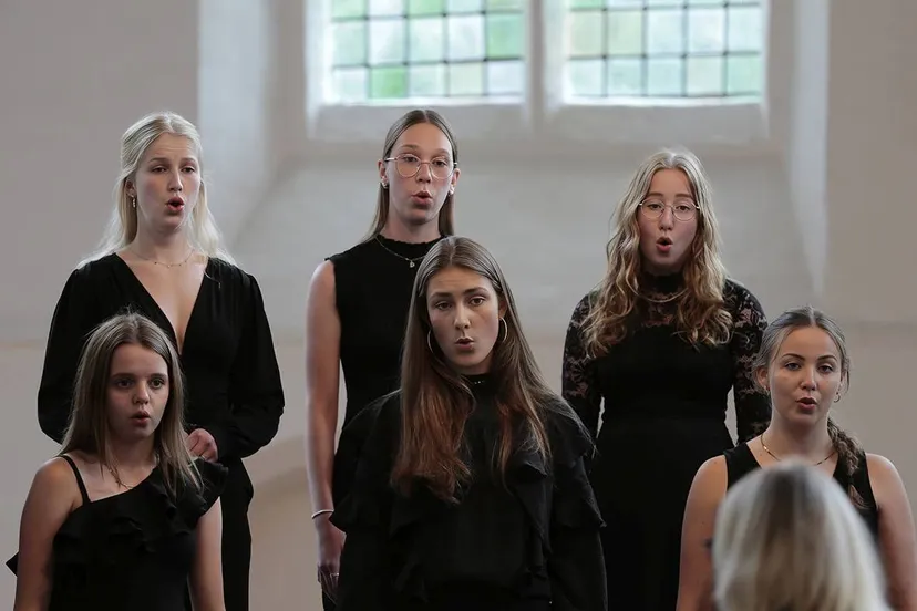 zuidwolde meppel viva la musica2