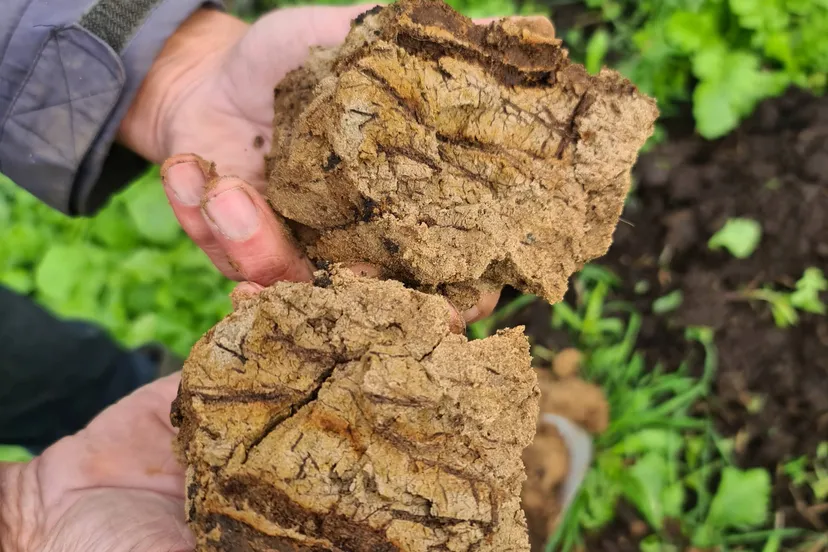 dr waterbeheer drenthe