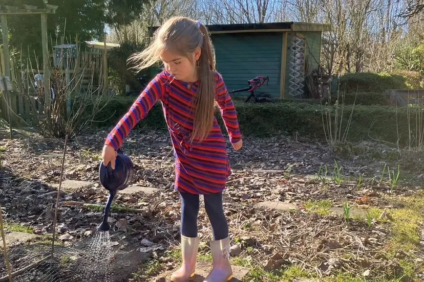 ruinen stekjesmarfkt