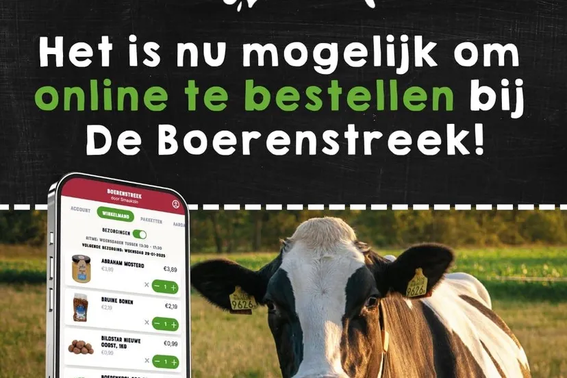 zuidwolde boetenstreek