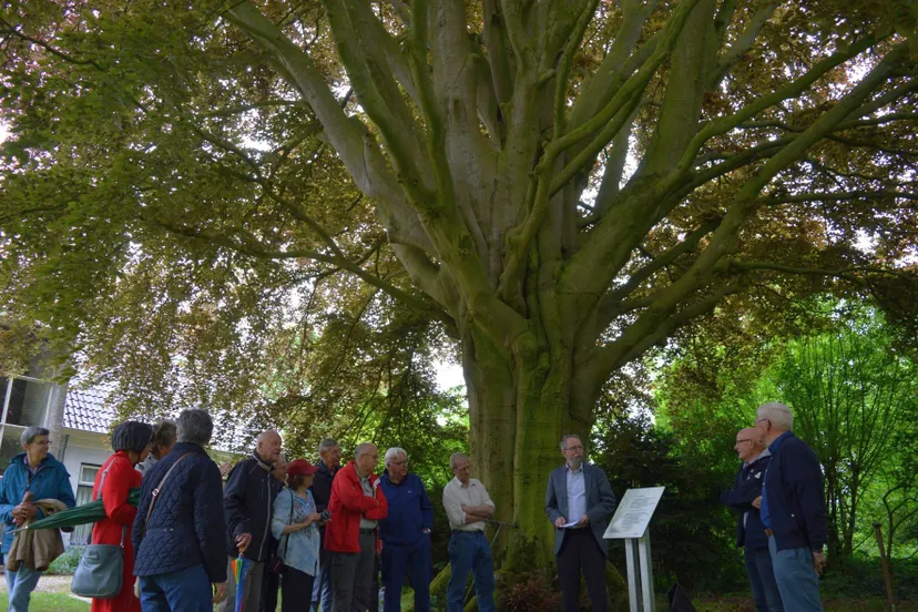 pn18052017 aposteldboom gedicht6