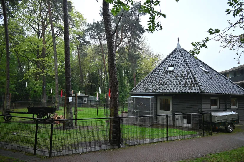 pn24042025 zuidwolde tonckens dierenpark4 klein