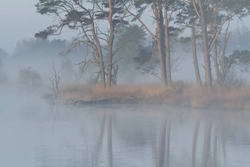 ruinen natuurmonumenten erik bethlehem witte wieven