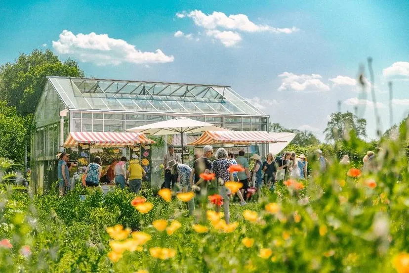 ruinerwold blauwe huis hbh open dag 1