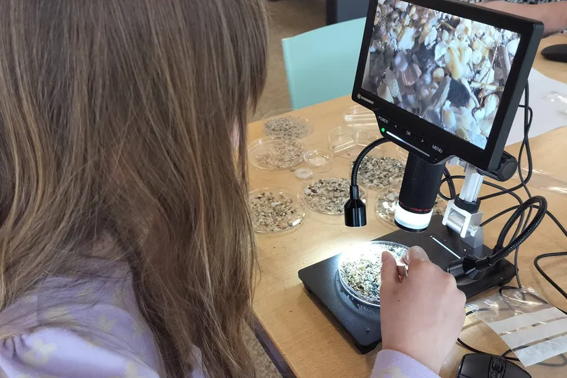 Vledder Miramar Labmiddag_2