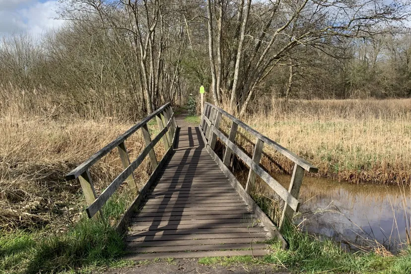 Reestkerk kerkvonder afb