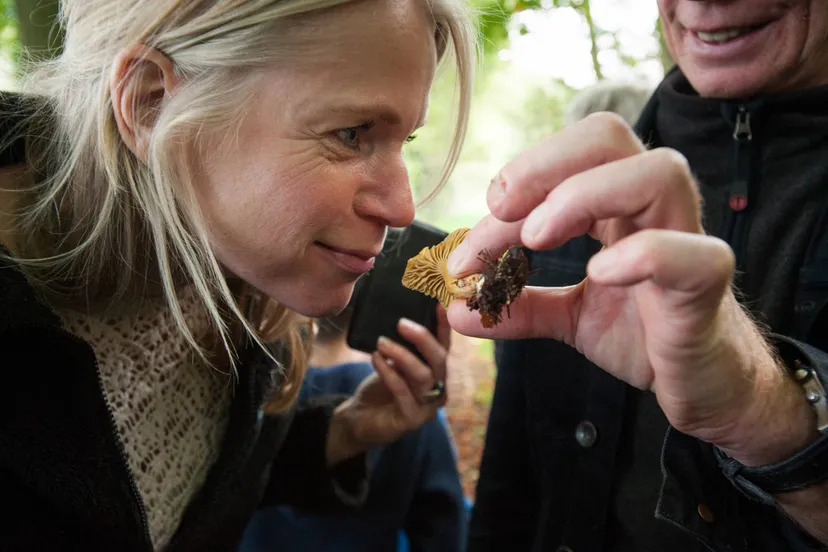 Reestdal Paddenstoelen excursie- Cees Elzenga