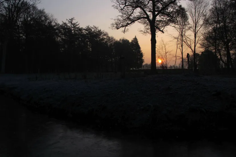 Reestdal LO09069 donker bert rene brinkman