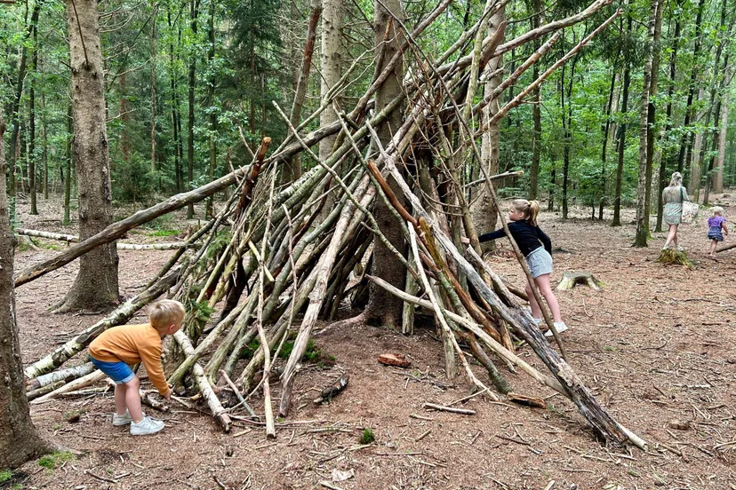 Reest Hutten bouwen - Amber de Jong