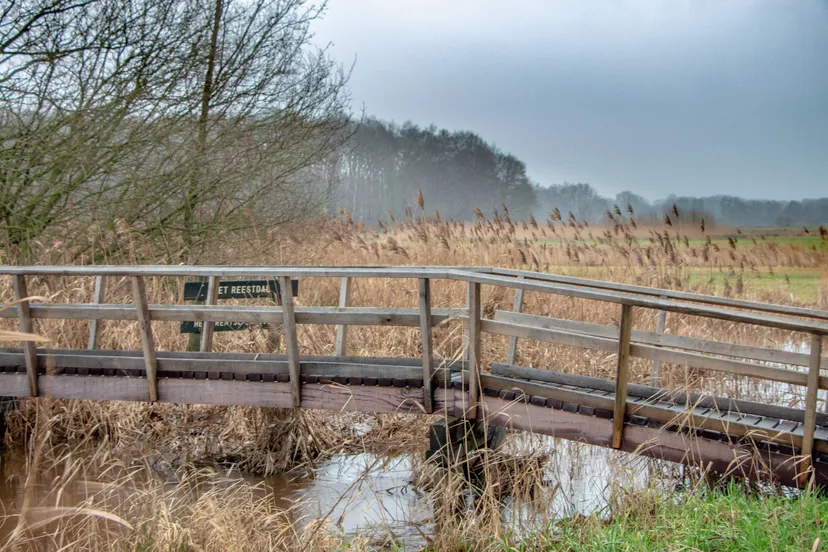 Reestdal, Gonny Sleurink (3)